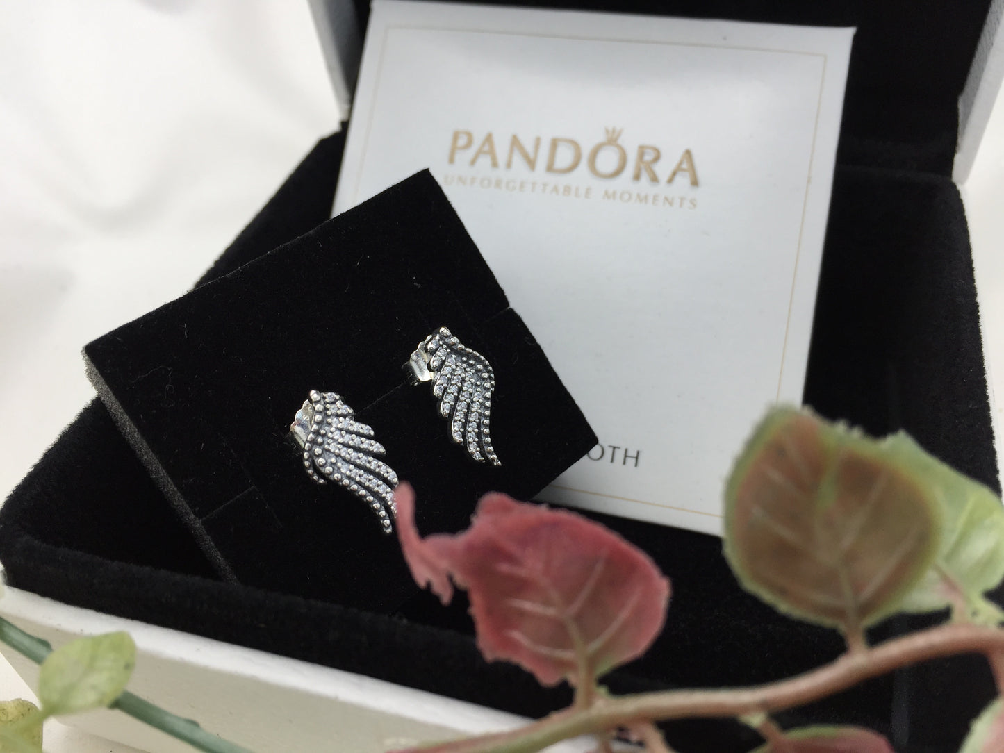 290581CZ
