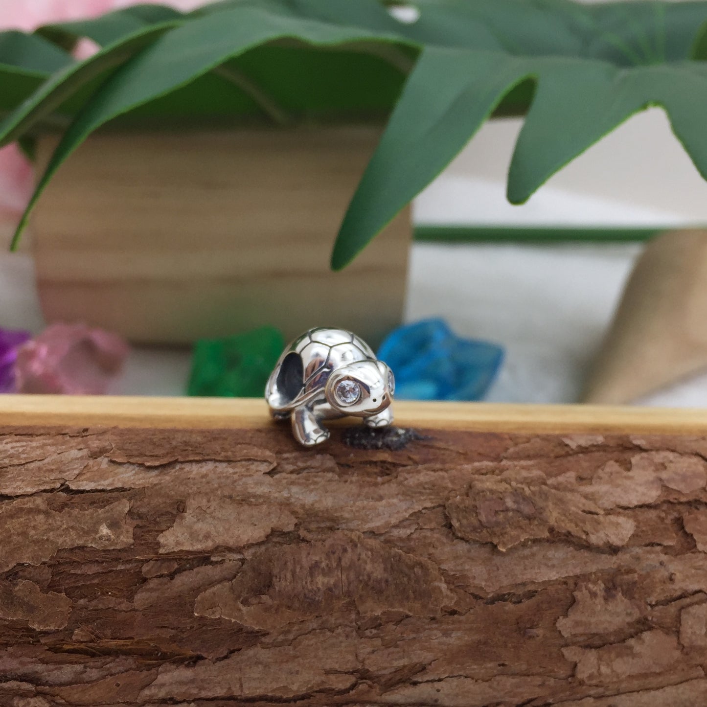 797878CZ
