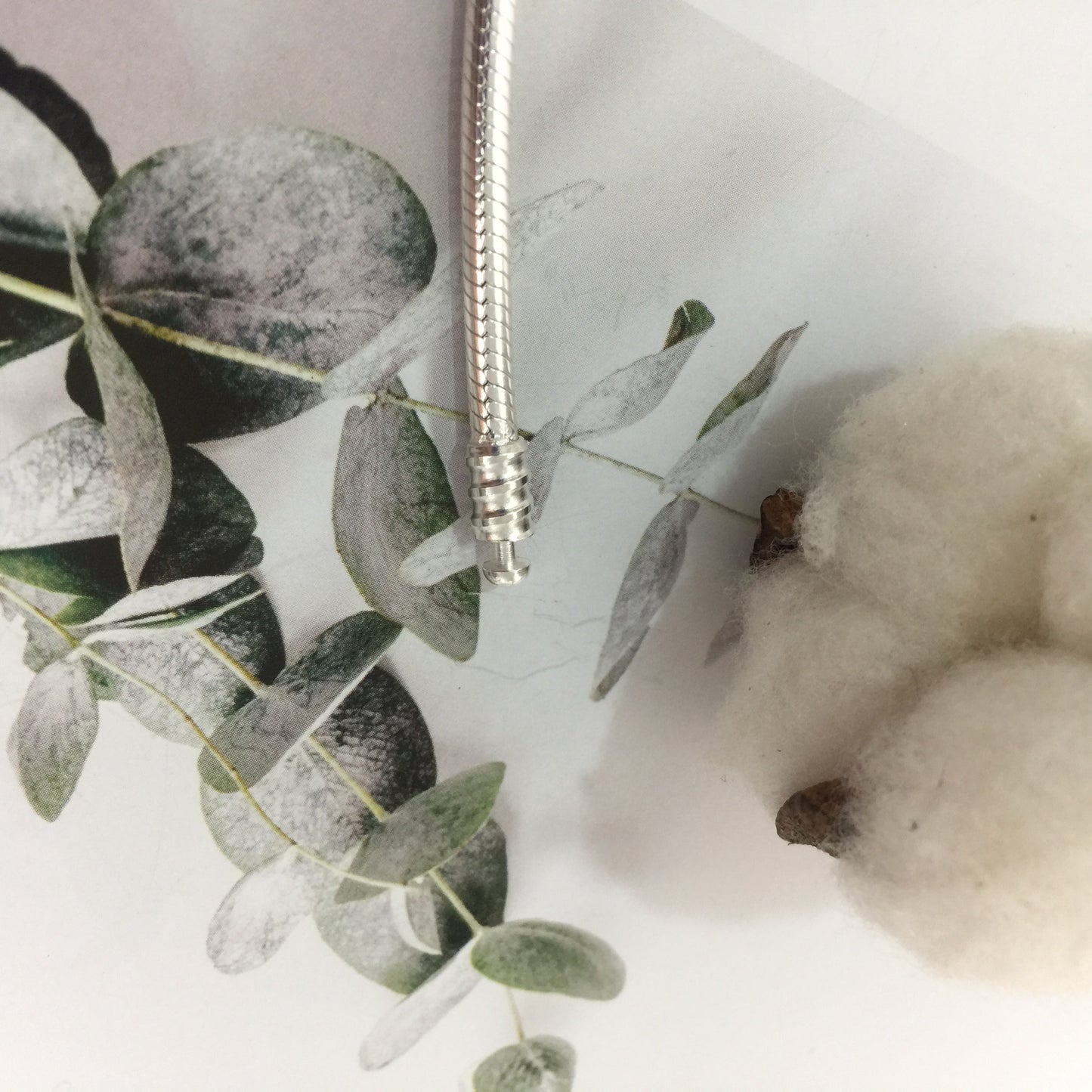 590749CZ