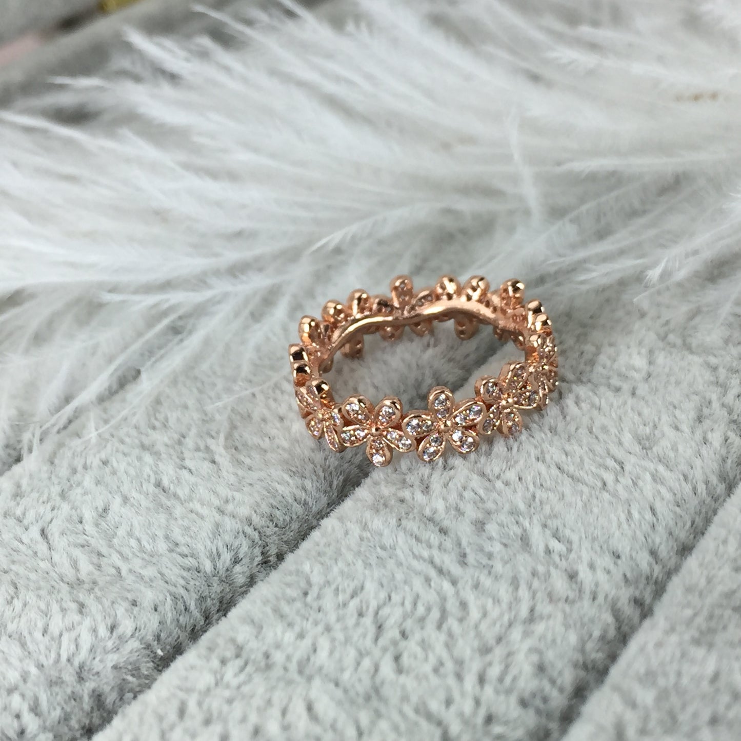 180934CZ