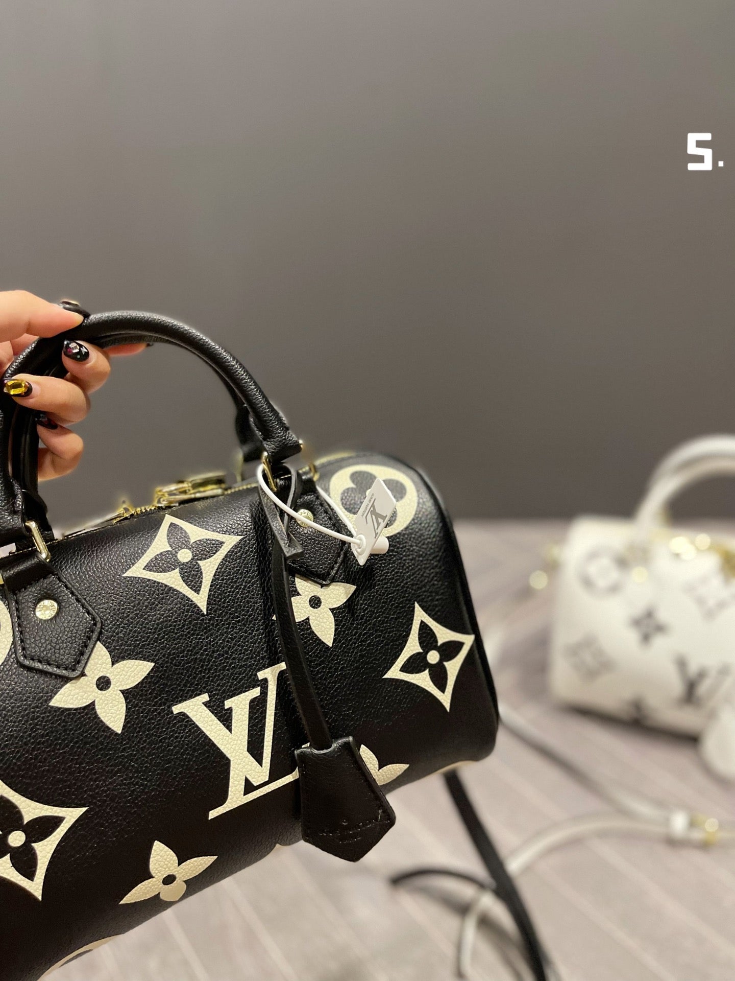 LV-BAG660
