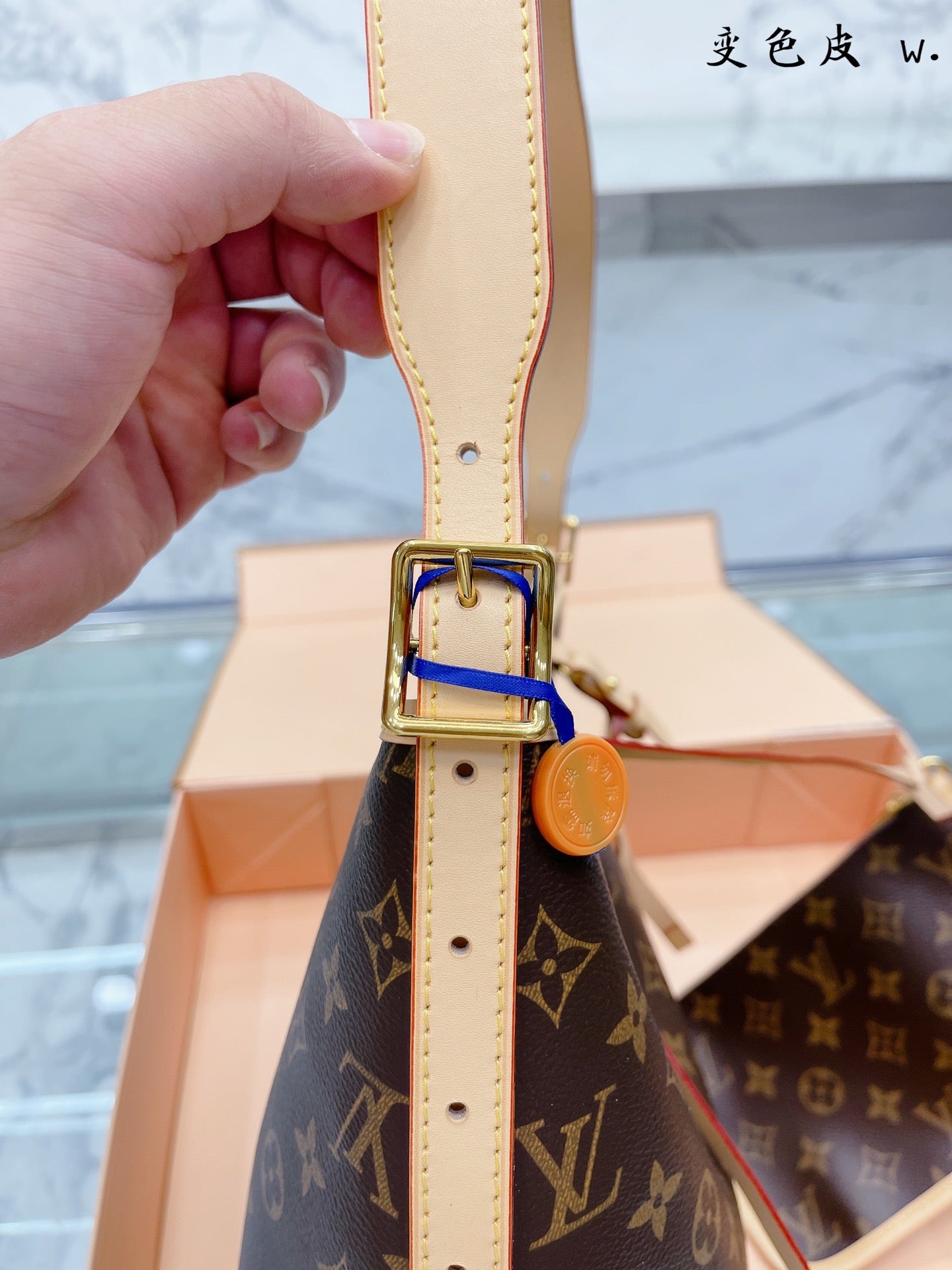 LV-BAG724