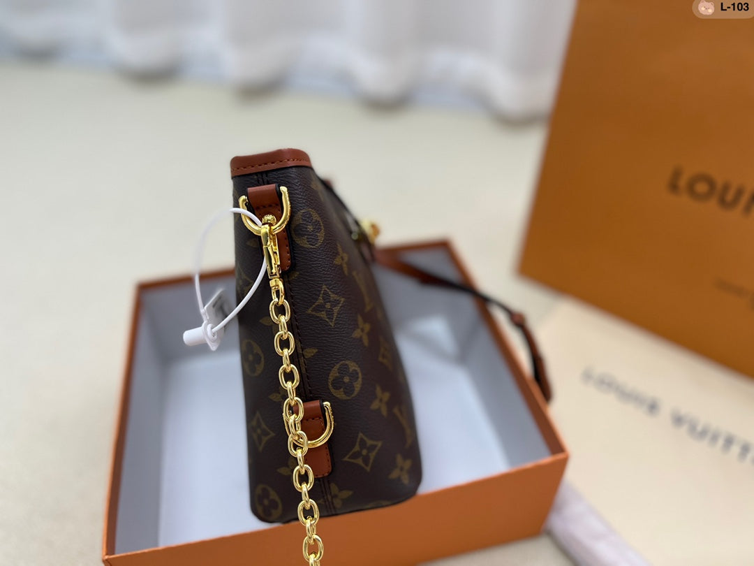 LV-BAG697
