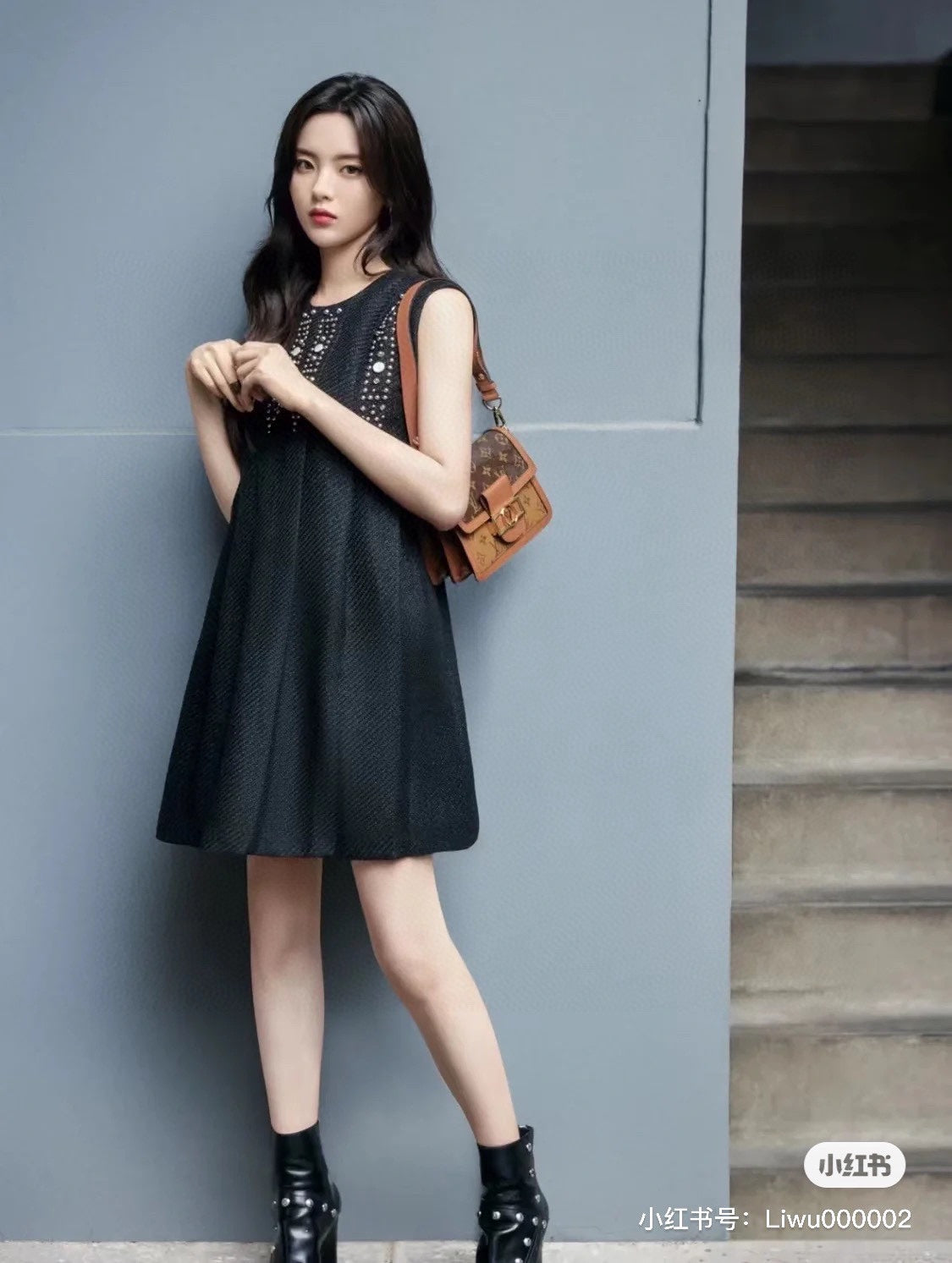 LV-BAG733