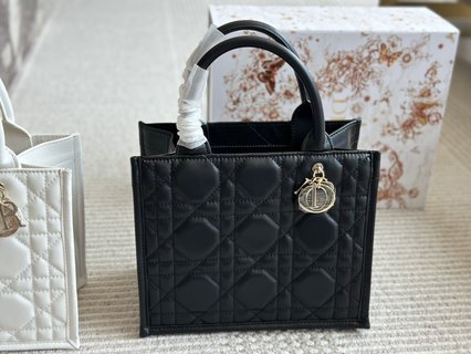 DIOR-745