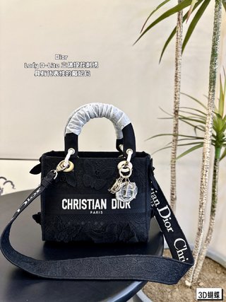 DIOR-738