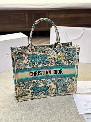 DIOR-764