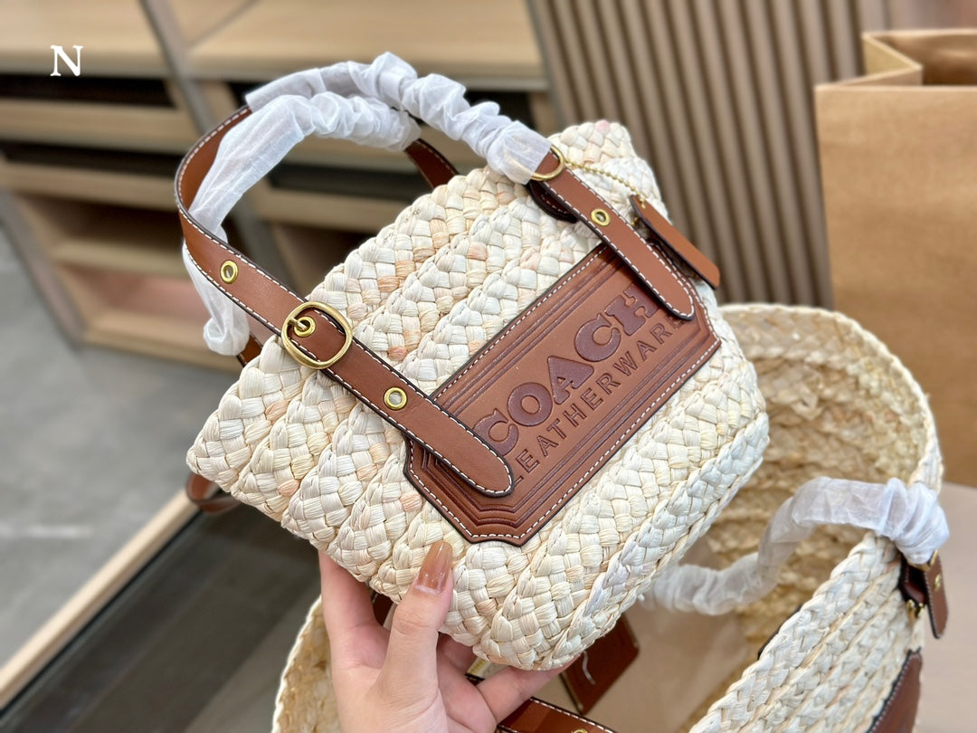 Co BAG01