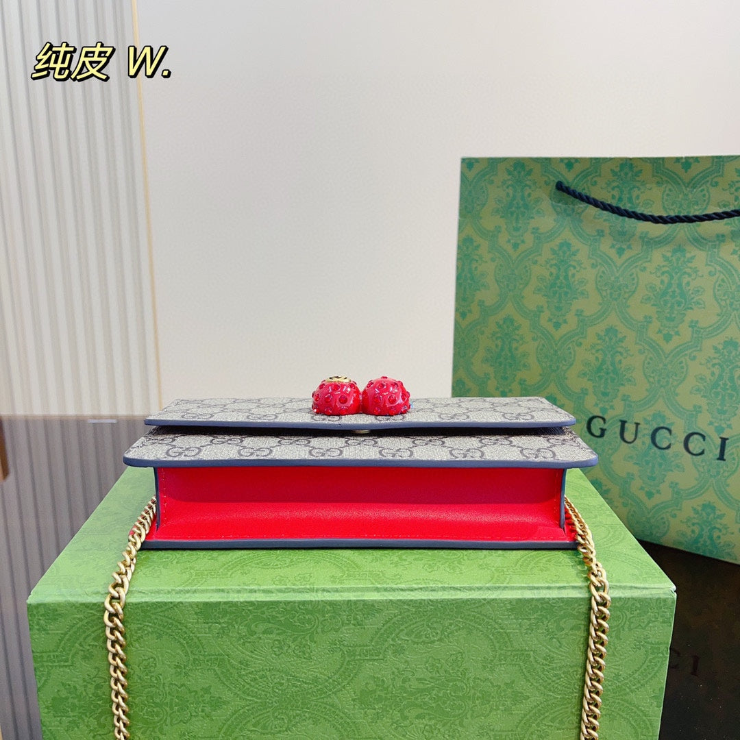 GUCCI BAG17