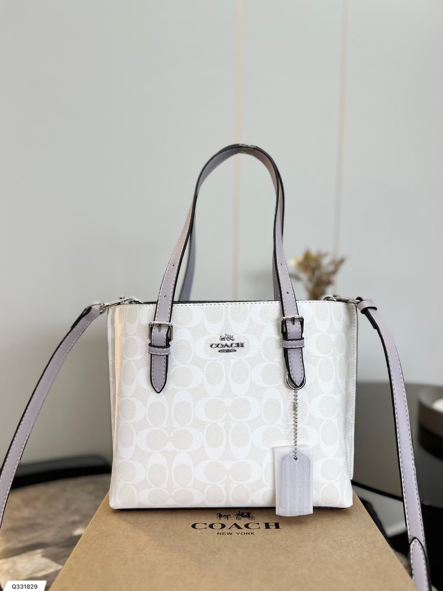 Co-BAG713
