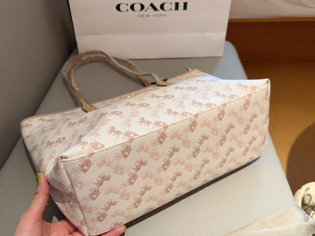 Co-BAG176