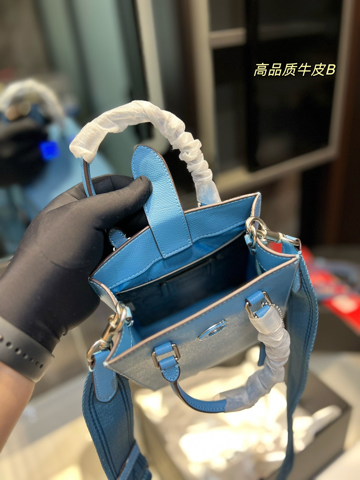 Co-BAG213