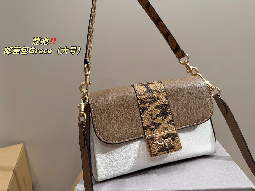 Co-BAG219-2