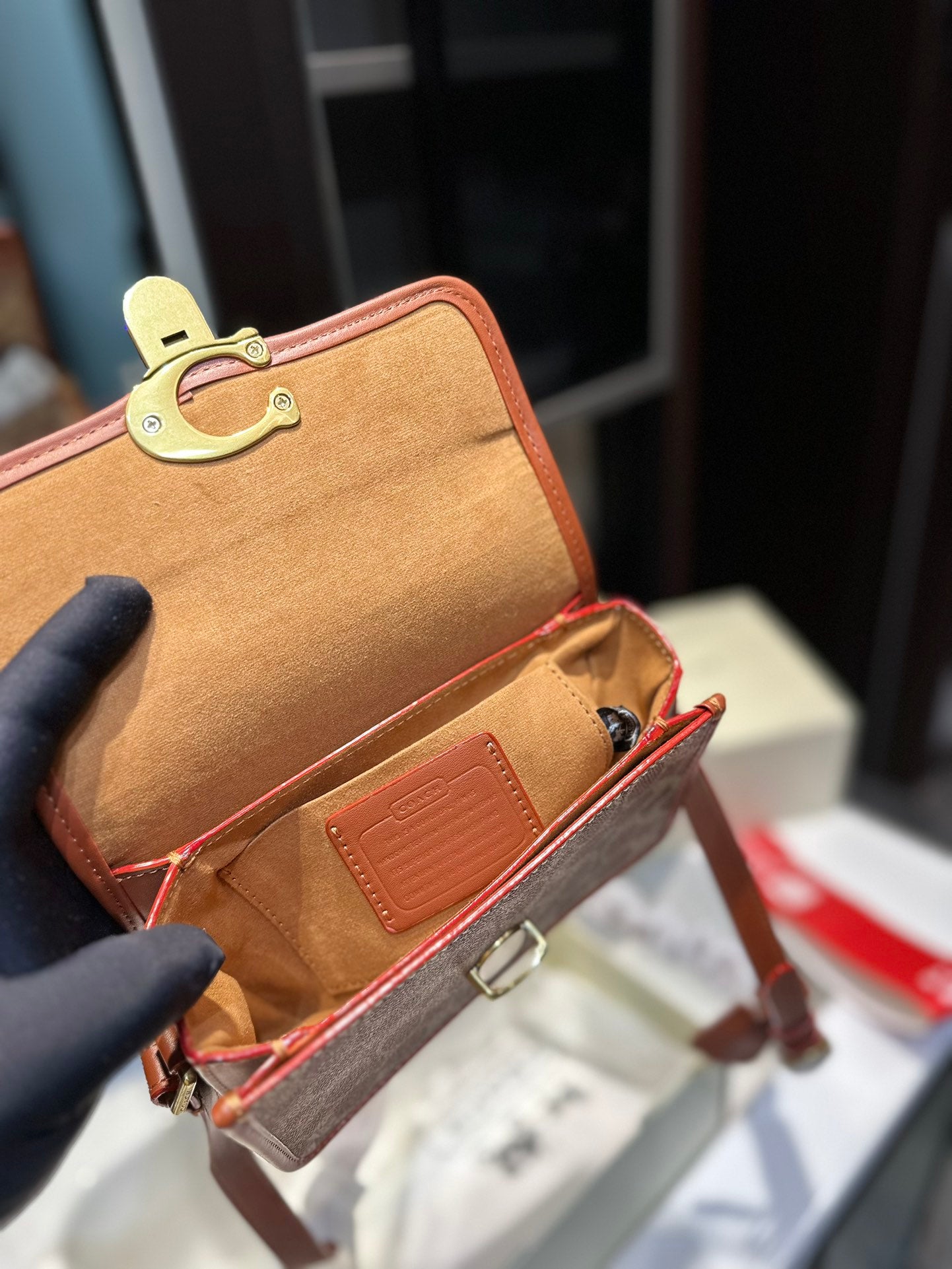 Co-BAG224-3