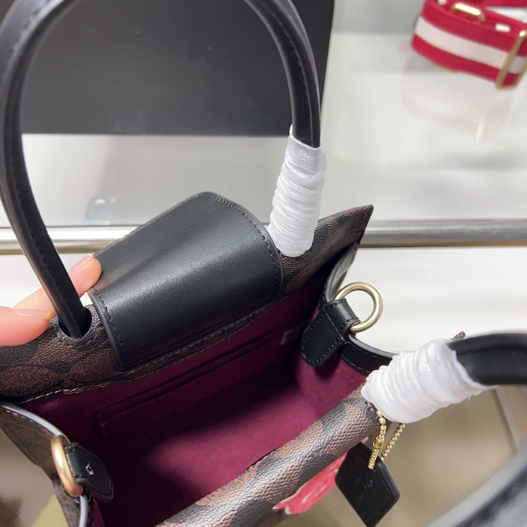 Co-BAG227