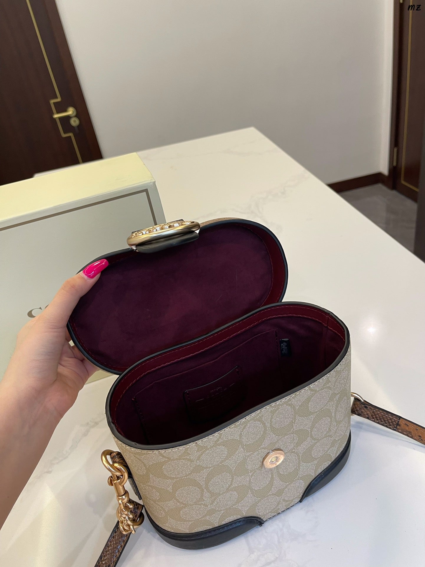 Co-BAG233-2