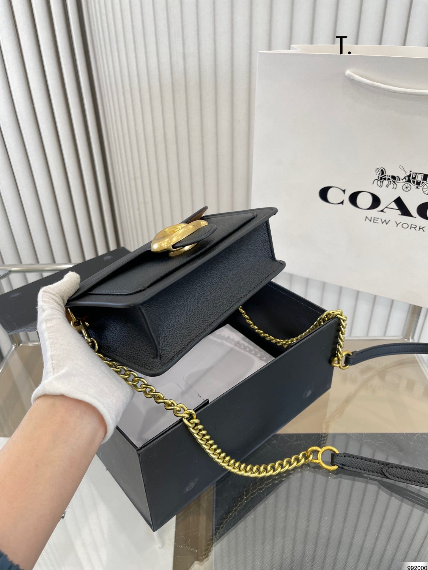 Co-BAG236-2
