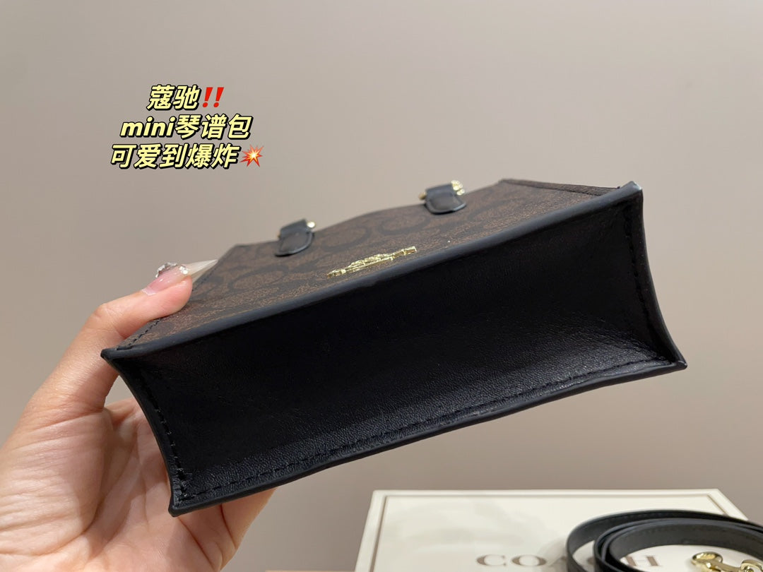 Co-BAG389-2