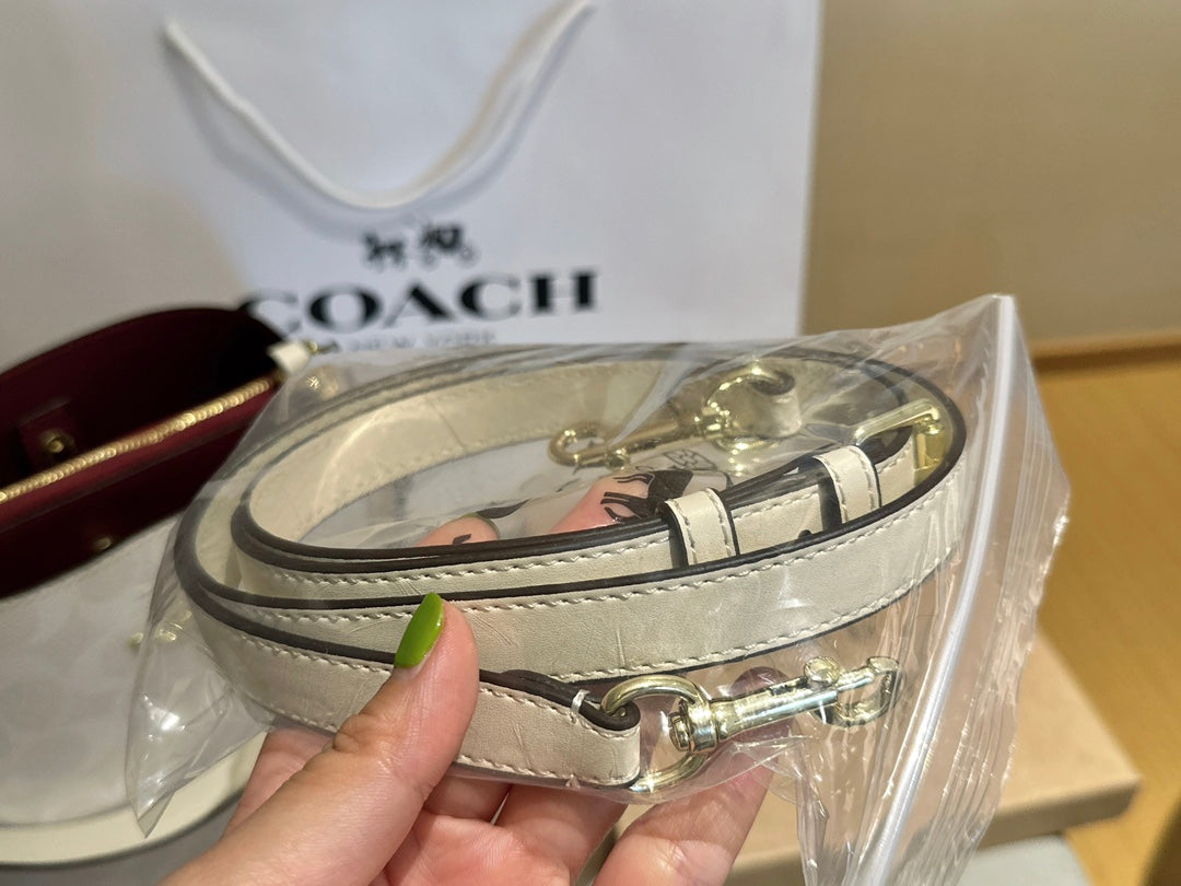 Co-BAG440