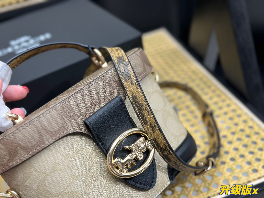 Co-BAG462