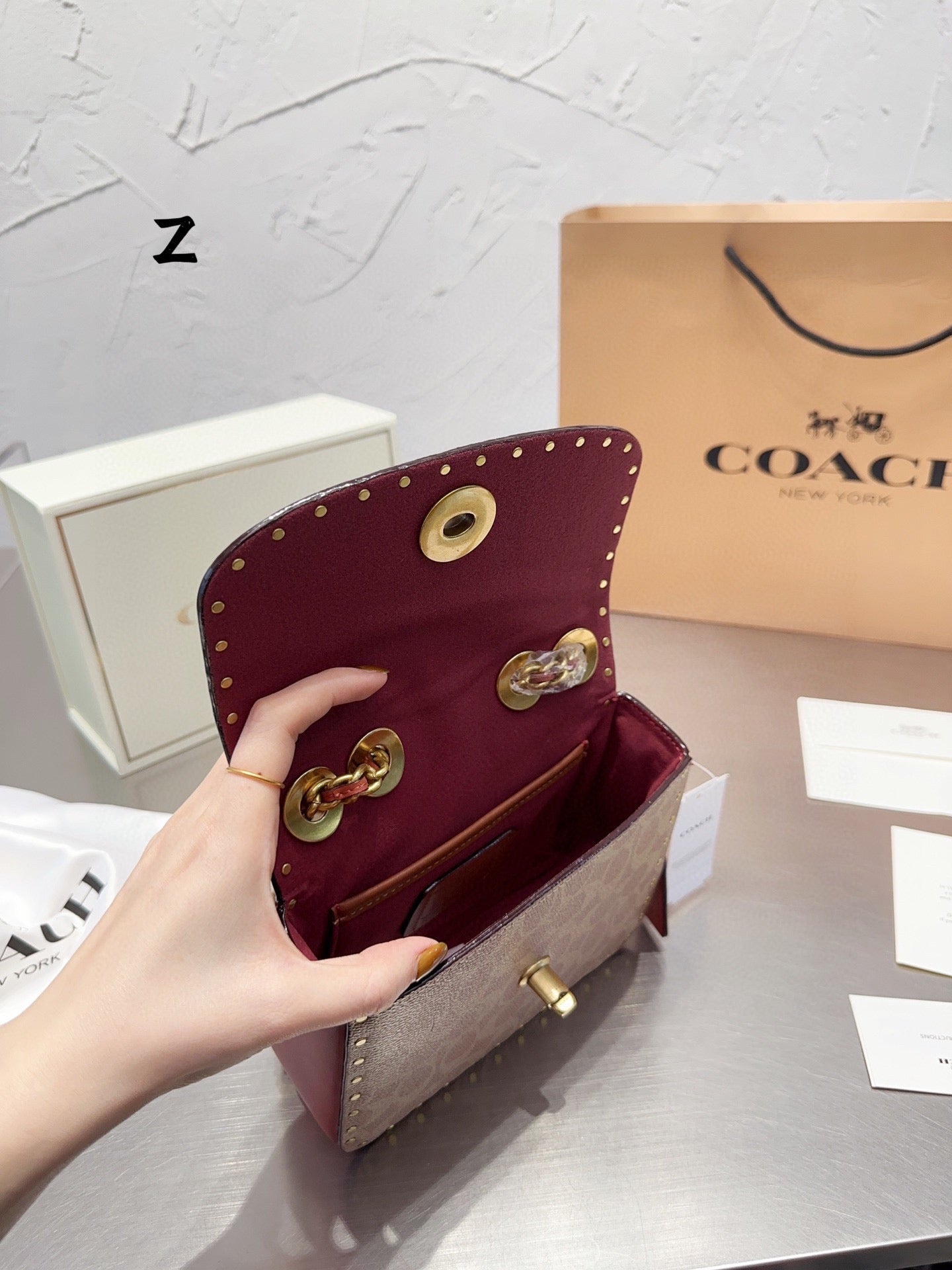 Co-BAG479-2