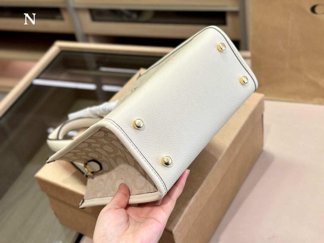 Co-BAG485