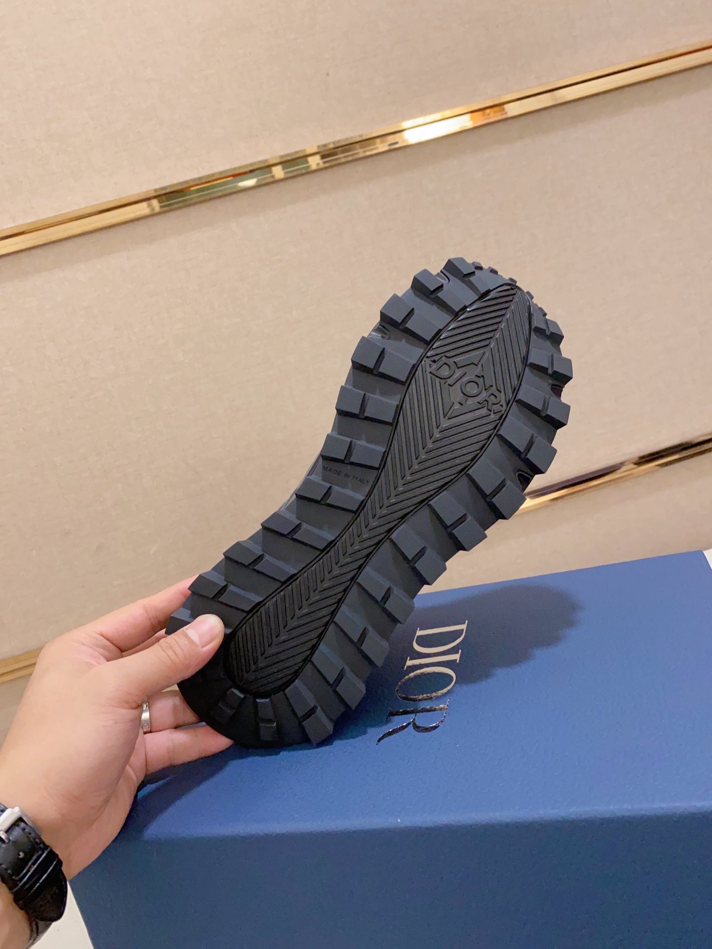 DIOR-112shoes