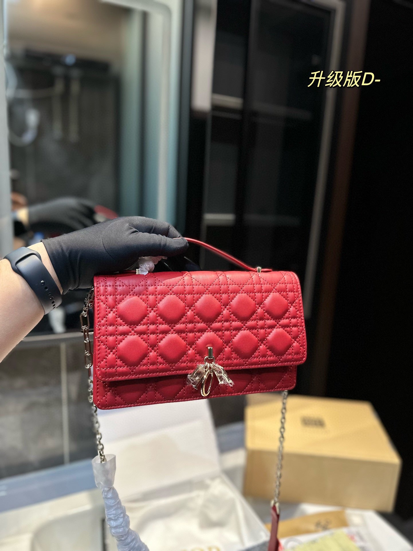 DIOR-519