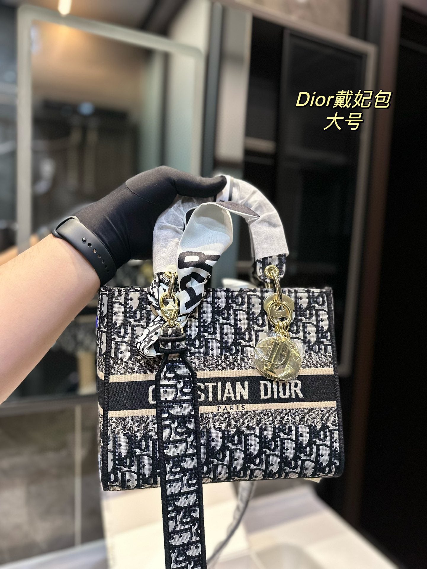 DIOR-501