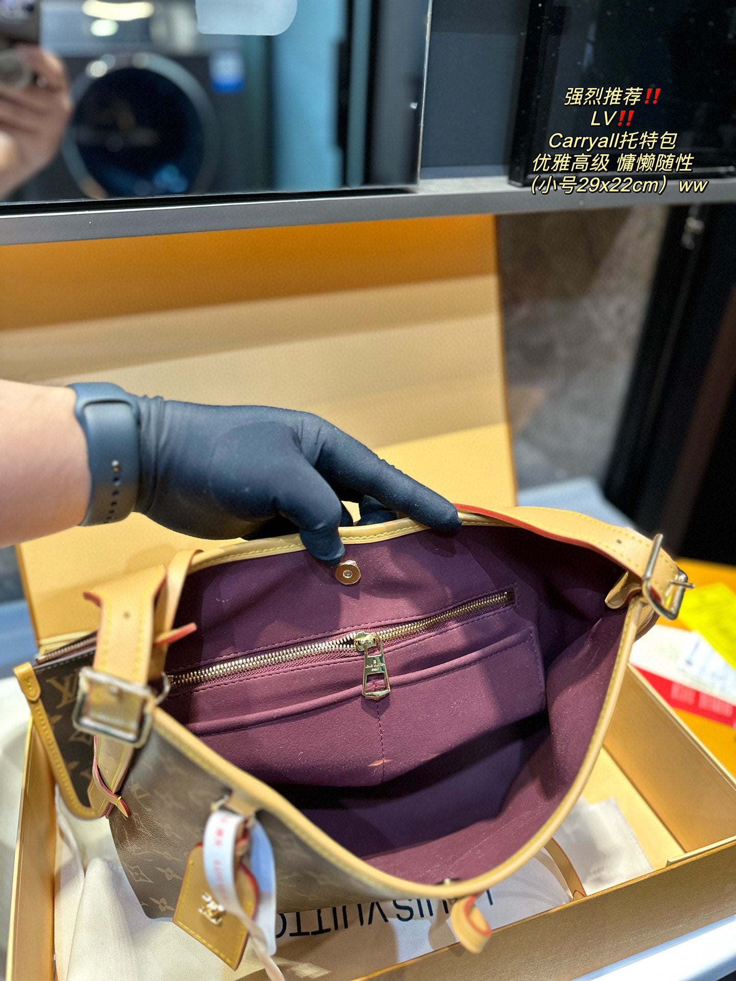 LV-BAG973