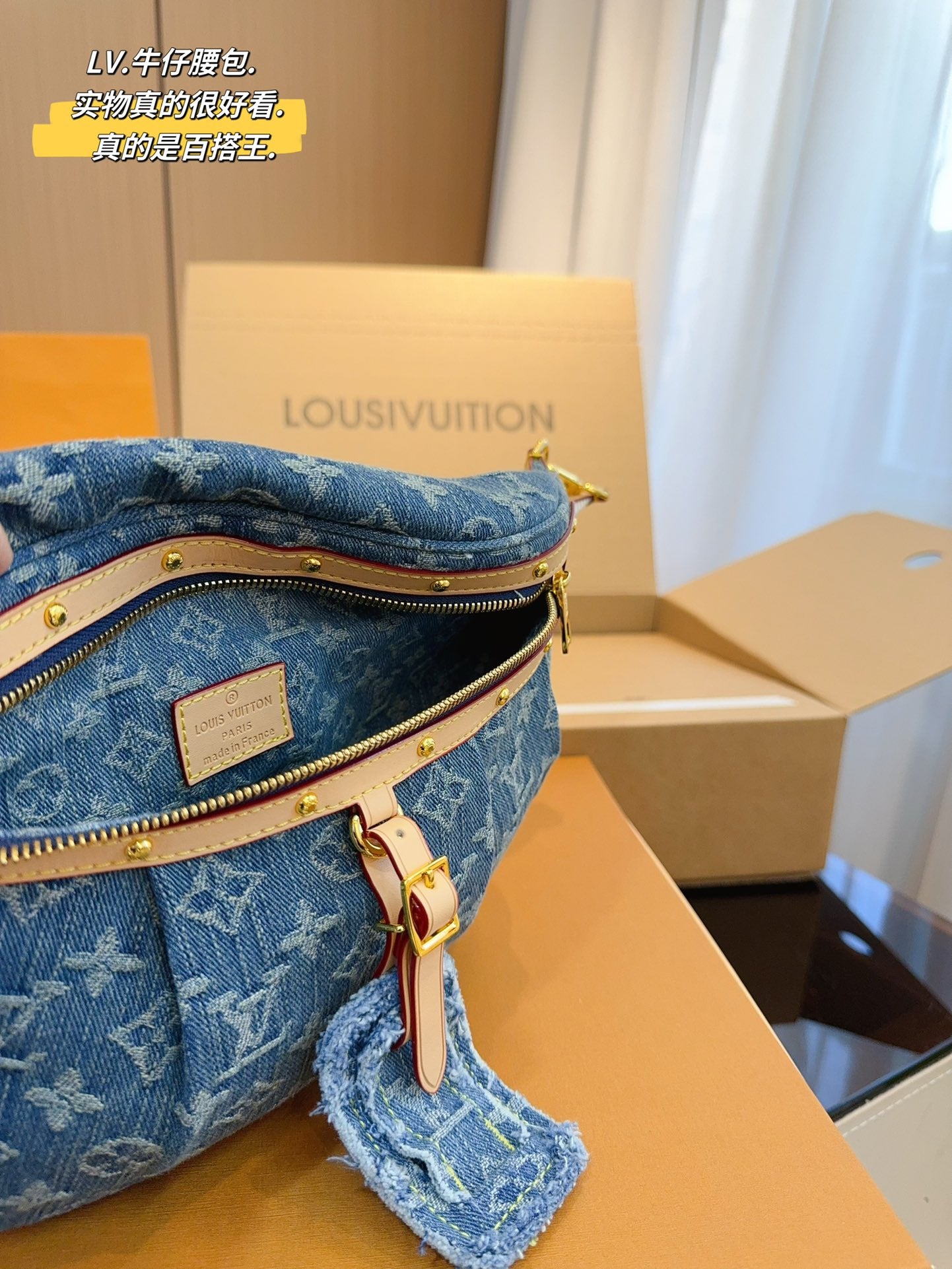 LV-BAG1009