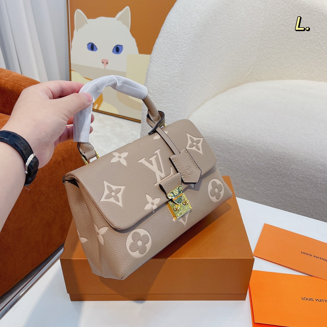 LV-BAG310