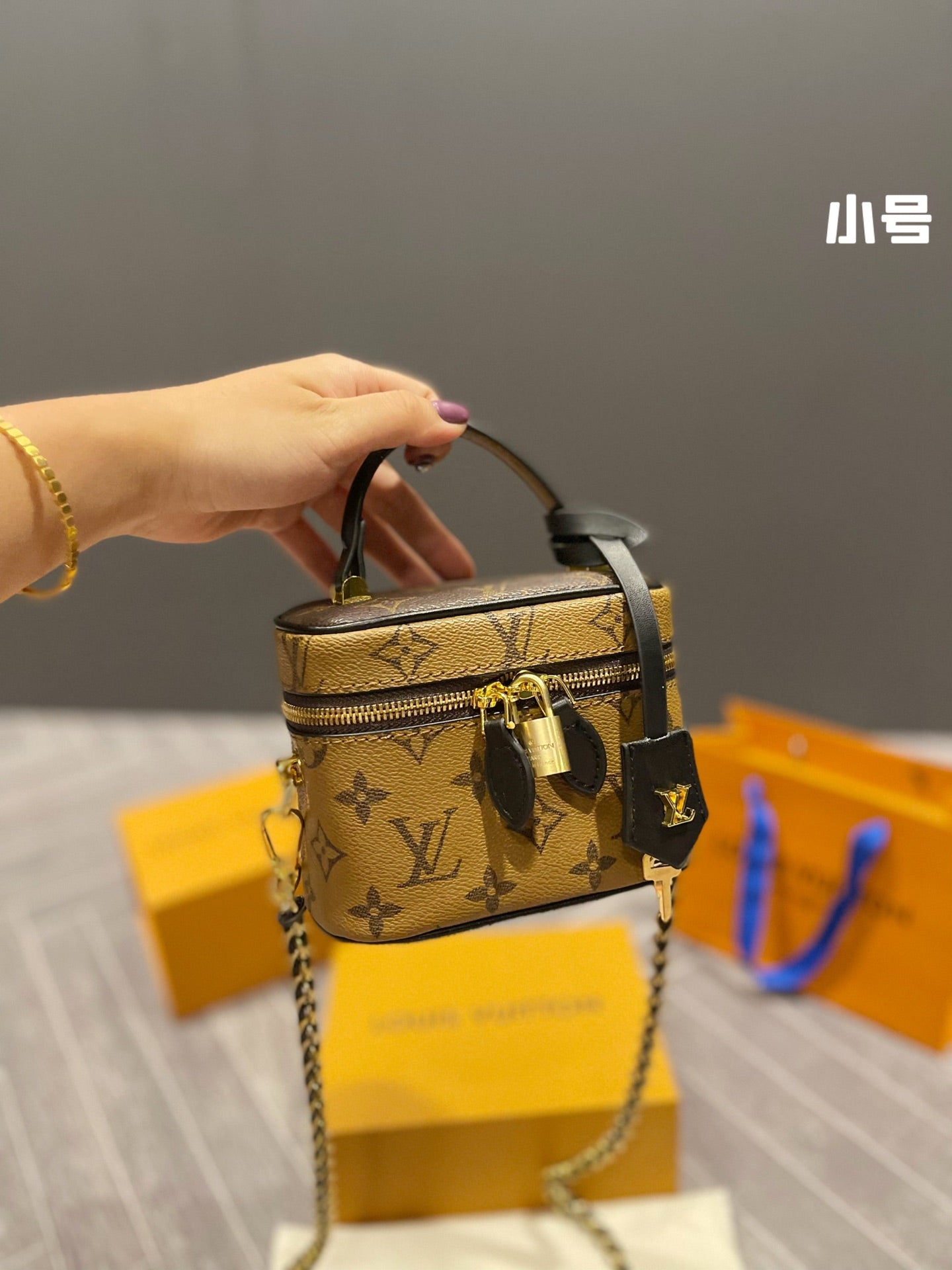 LV-BAG291