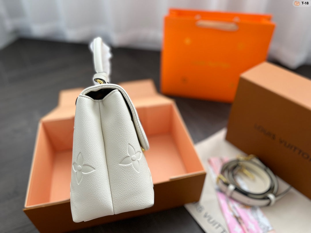 LV-BAG437