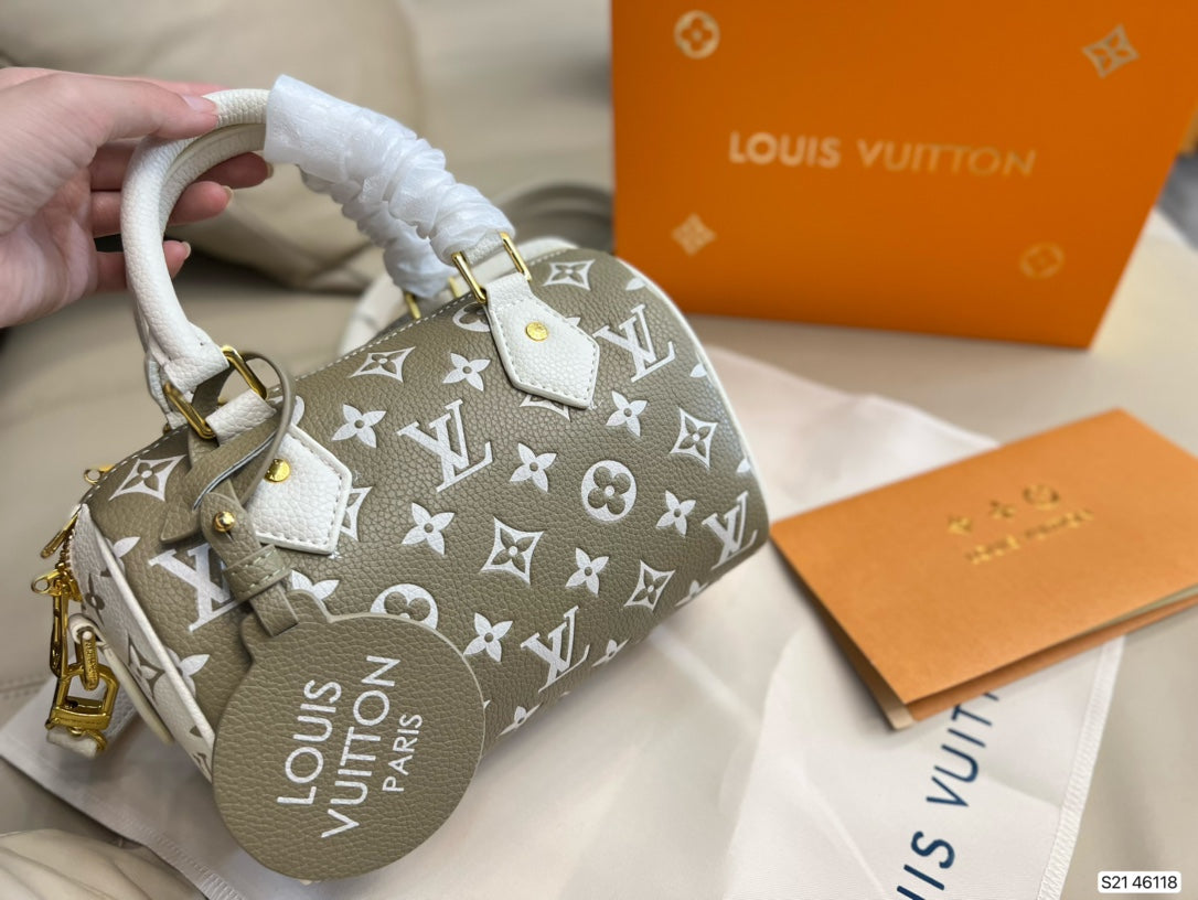 LV-BAG249
