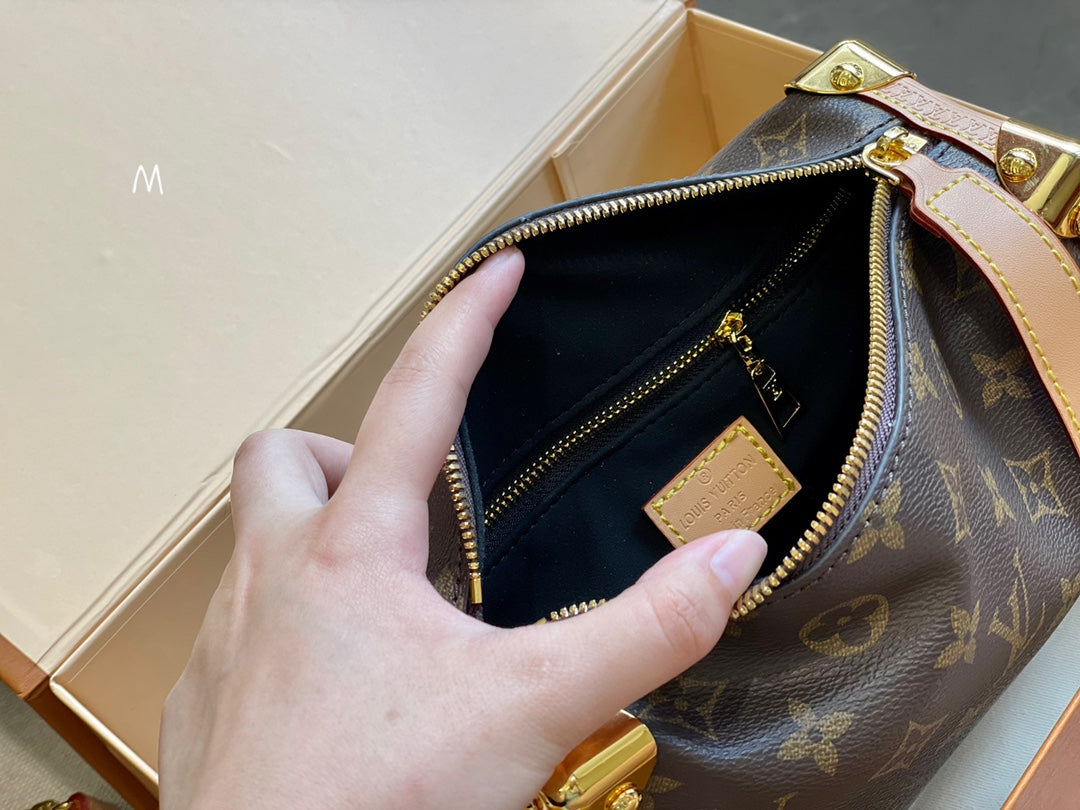LV-BAG236