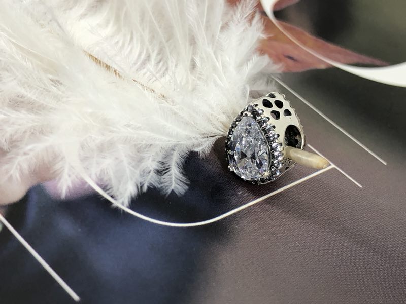 796245CZ