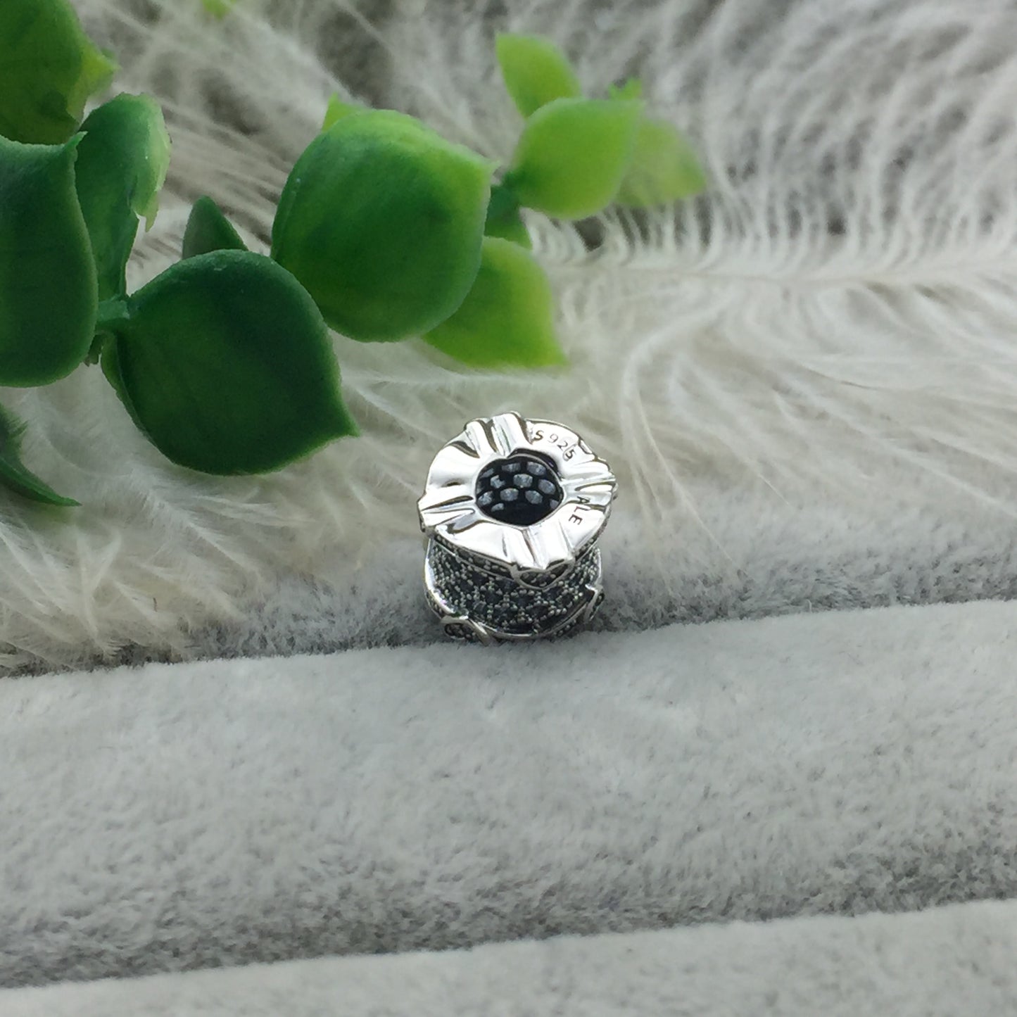 797653CZ