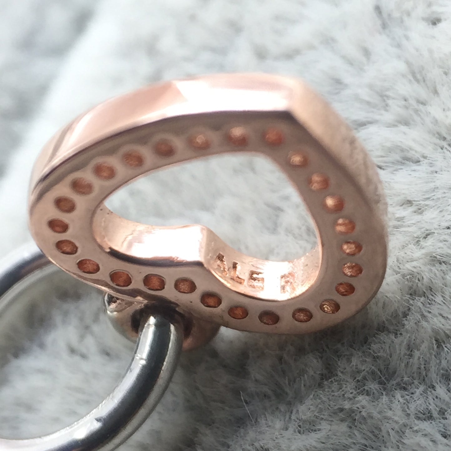 781304CZ