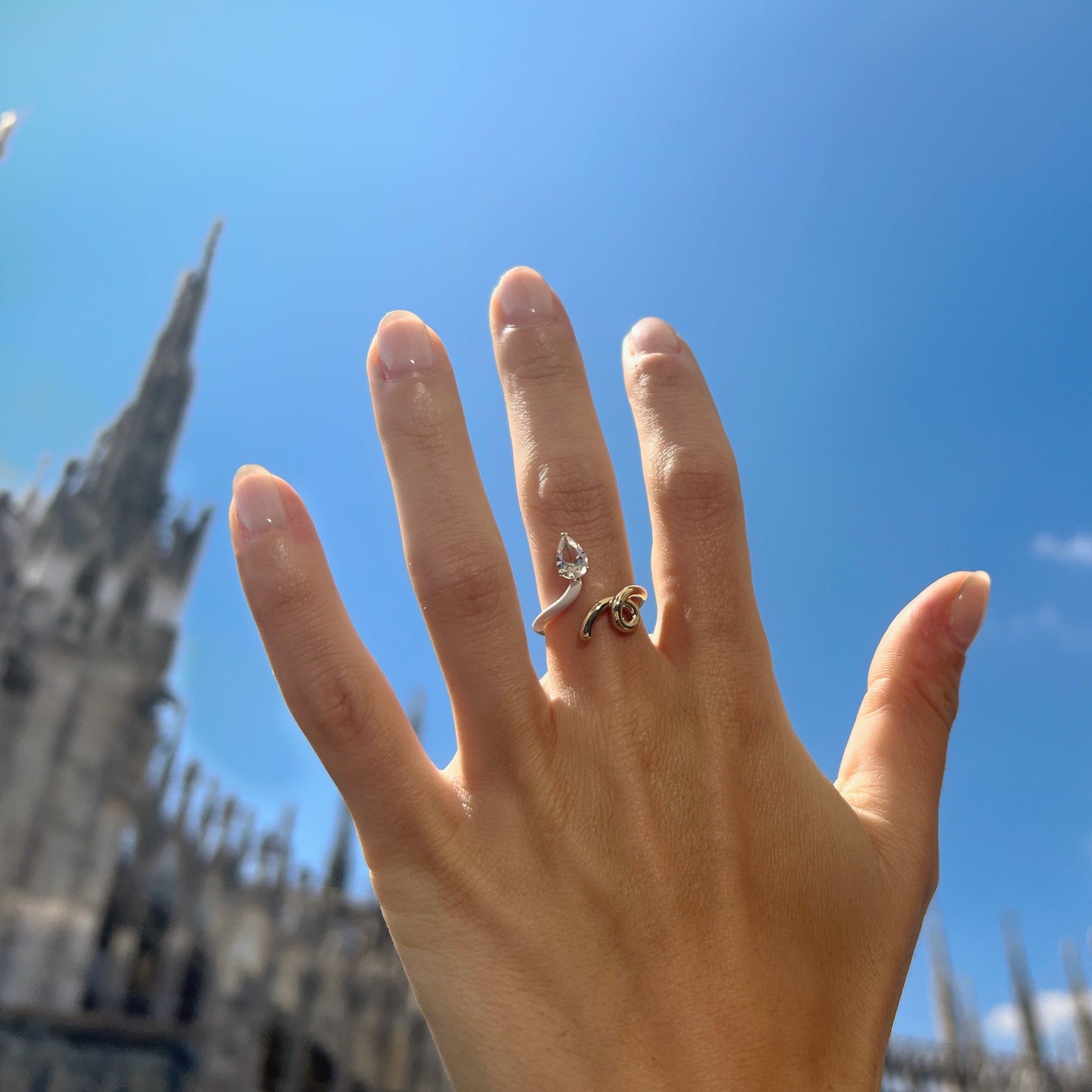 BEA-013ring