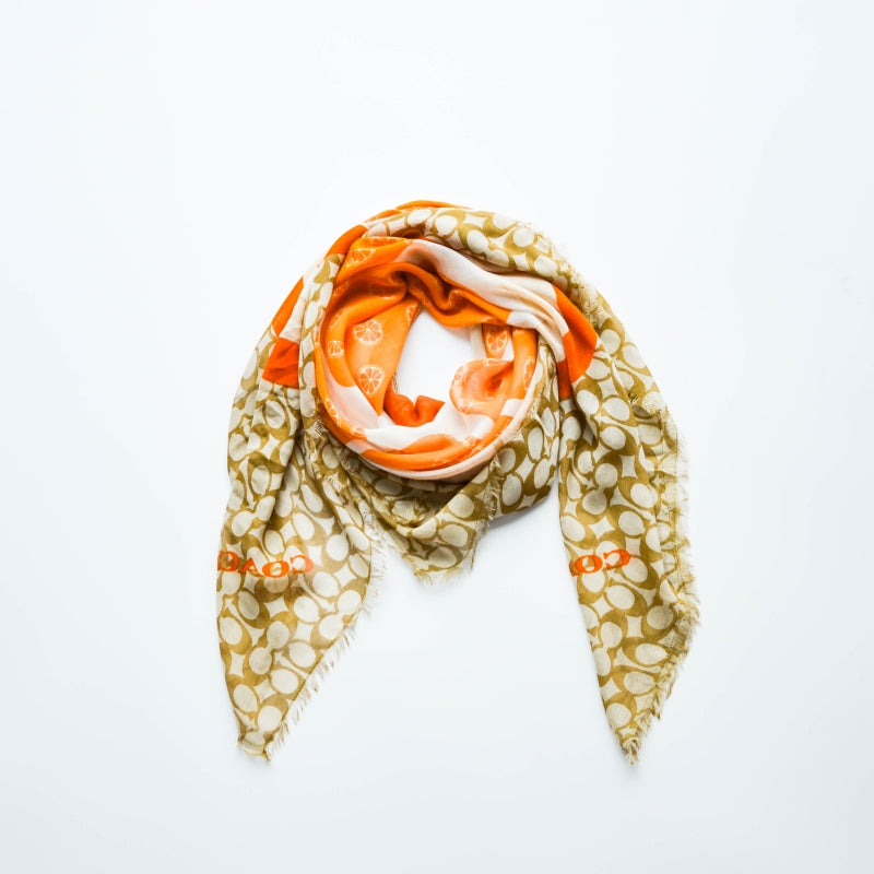 BYL silk scarf-4