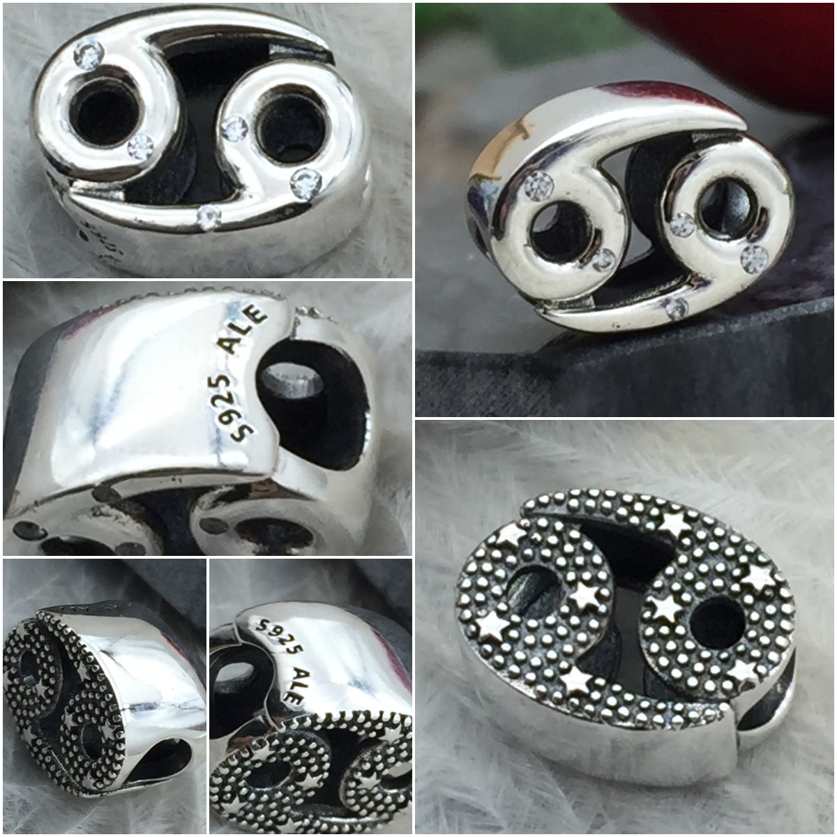 798434C01