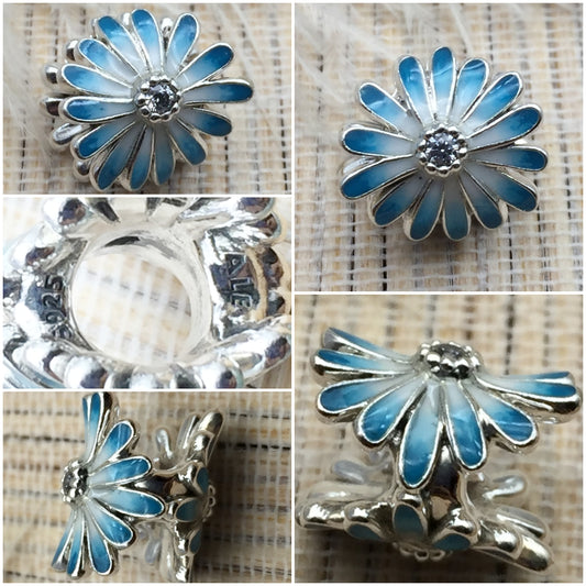 798775C01