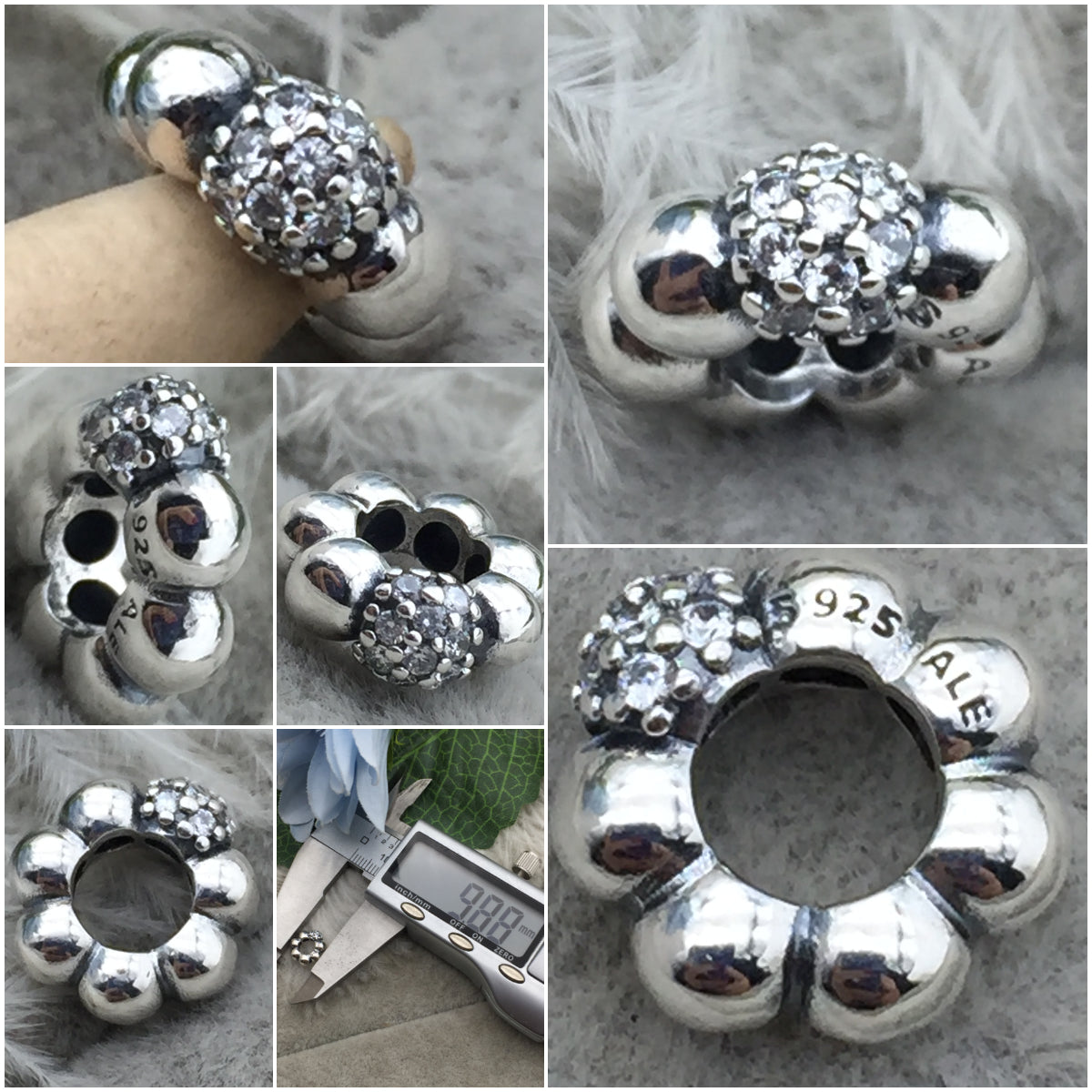 798310CZ