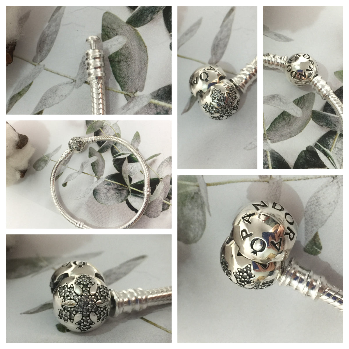 590749CZ