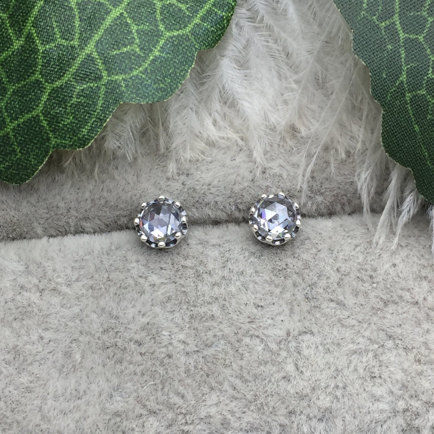 298311CZ