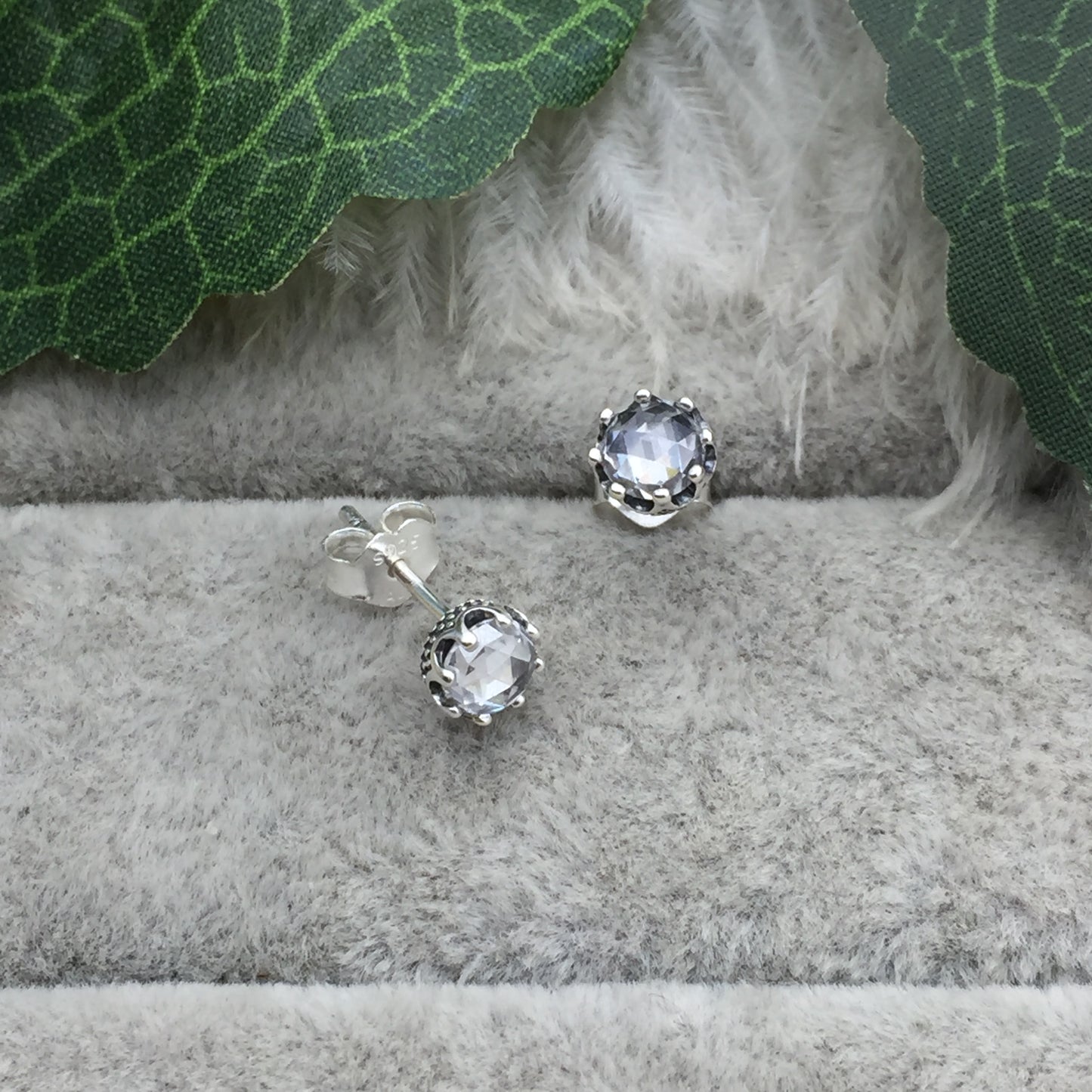 298311CZ