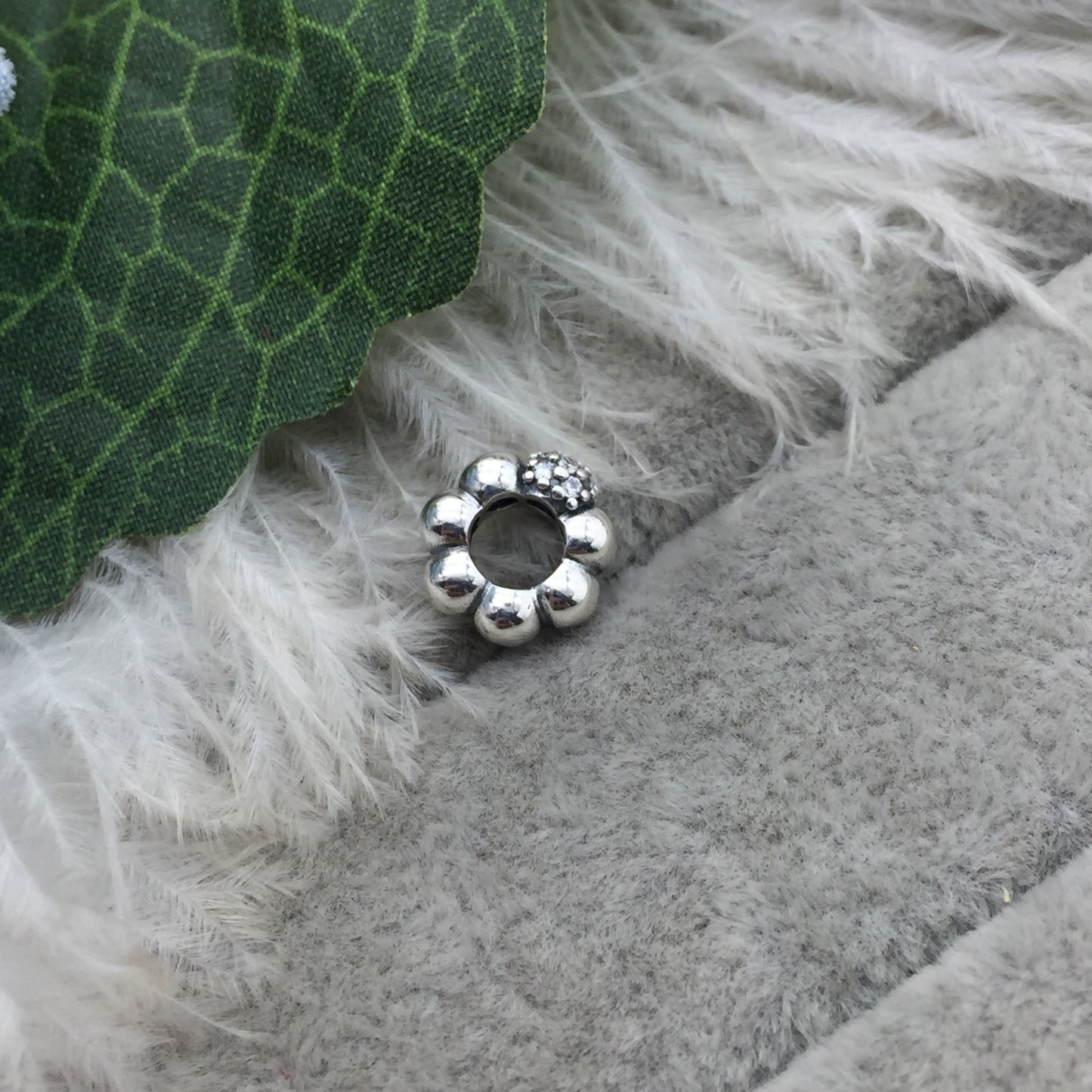 798310CZ