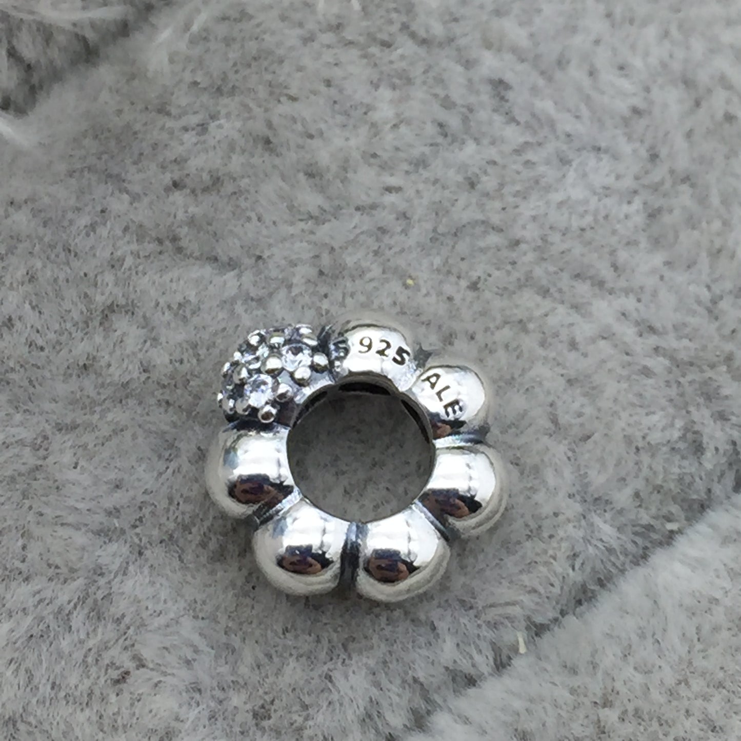 798310CZ