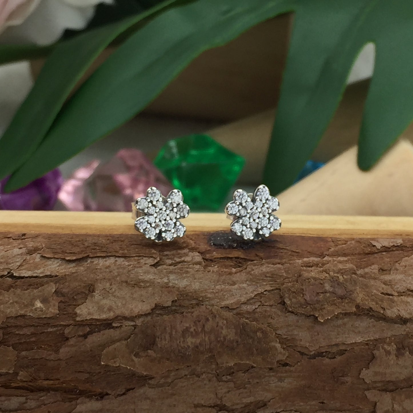 297944CZ